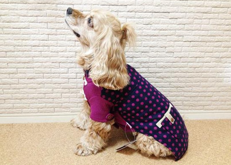 犬服】 プレッピーダッフルコート♪ | M's Diamond