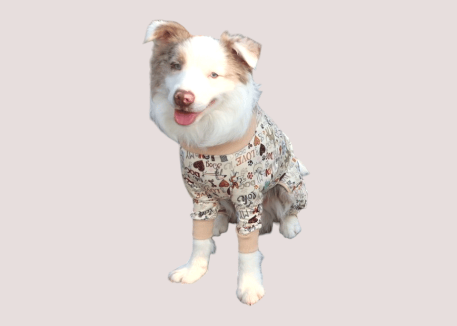 69df1a80a7ffd4cf987f1255