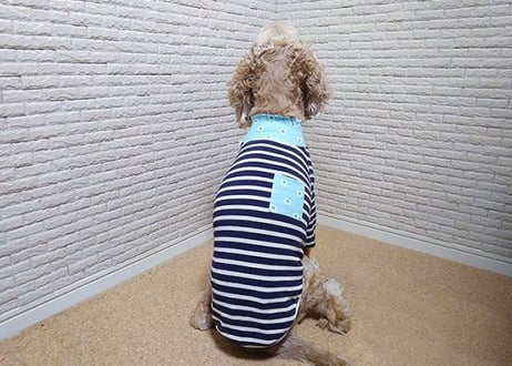 【犬服】花柄ハイネックボーダーラグランＴシャツ♪
