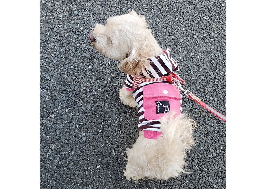 BUCK-TICK 星野プロデュースもこもこボーダーパーカー 星野プロデュース：もこもこボーダーパーカー - BUCK-TICK