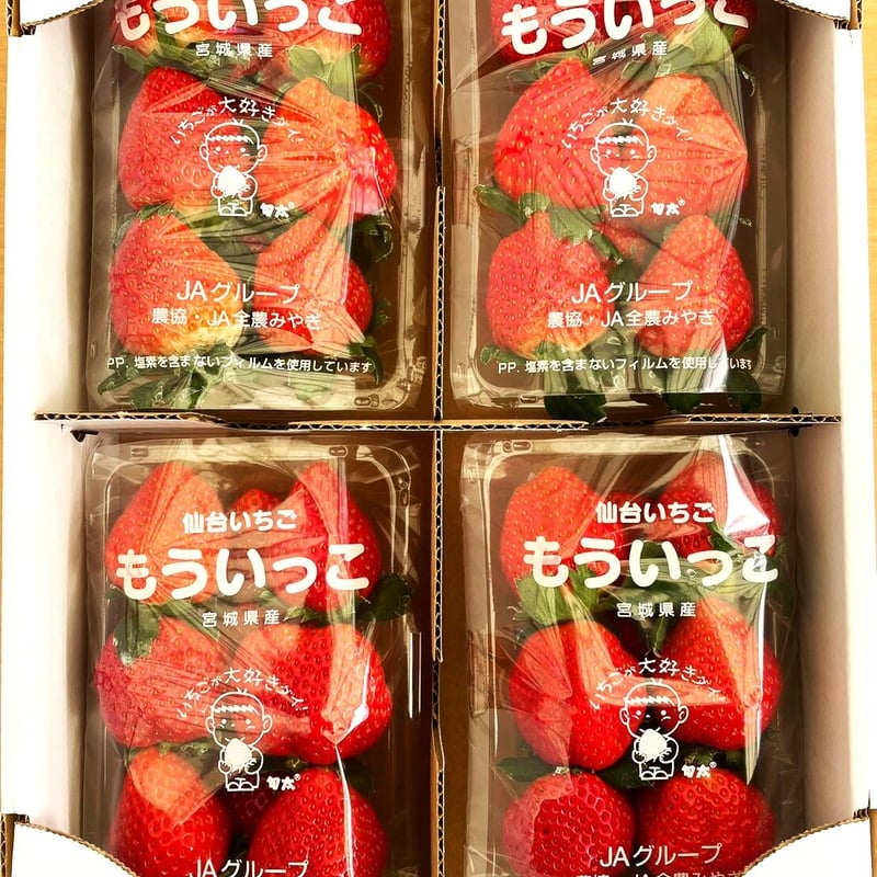 宮城県米山町の採れたて完熟いちご4パック | いちごファーム やなぎぶち