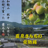 『夏見さんちの完熟梅』オカファーム  STORE  