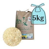 【白米】令和7年度産5㎏