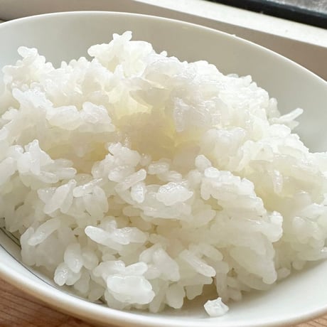 【白米】令和7年度産　10㎏