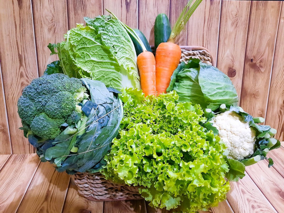 野菜 fit=scale-down,w=1200