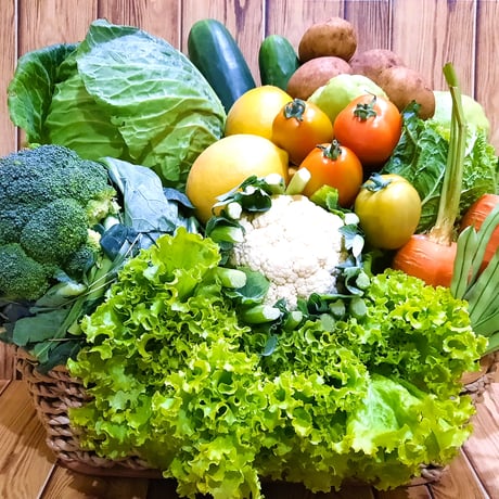 【Mサイズ】新鮮お野菜盛り合わせセット合計5kg