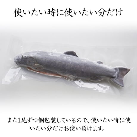【産地直送】深瀬イワナ 塩焼き用(冷凍・国産)