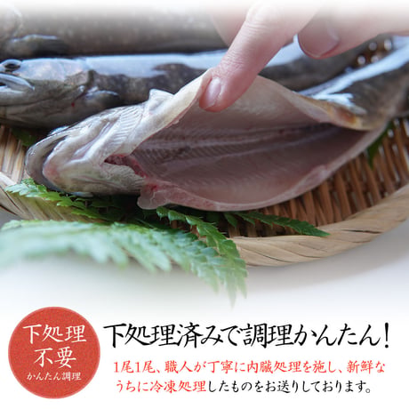 【産地直送】深瀬イワナ 塩焼き用(冷凍・国産)