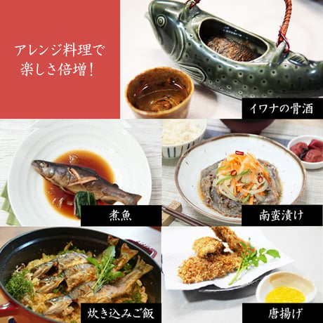 【産地直送】深瀬イワナ 塩焼き用(冷凍・国産)