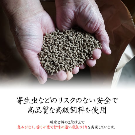 【産地直送】深瀬イワナの刺身盛り 皿盛り・カット済（冷凍・石川県産）