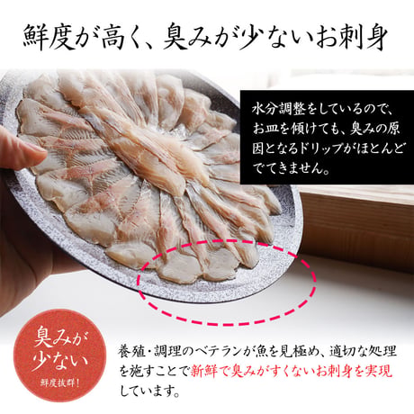 【産地直送】深瀬イワナの刺身盛り 皿盛り・カット済（冷凍・石川県産）