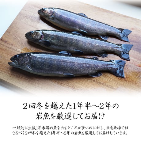 【産地直送】深瀬イワナ 塩焼き用(冷凍・国産)