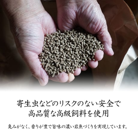 【産地直送】岩魚（イワナ）の一夜干し（冷凍・石川県産）