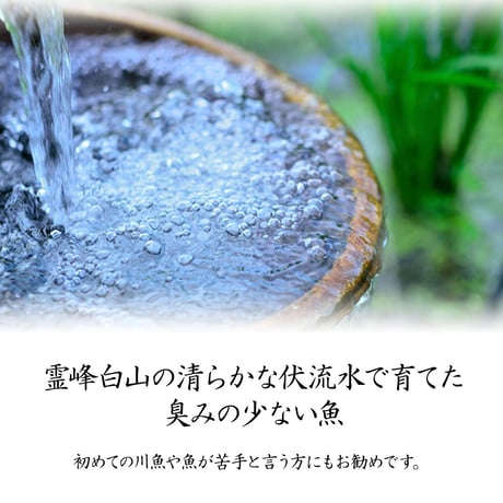 【産地直送】岩魚（イワナ）の一夜干し（冷凍・石川県産）