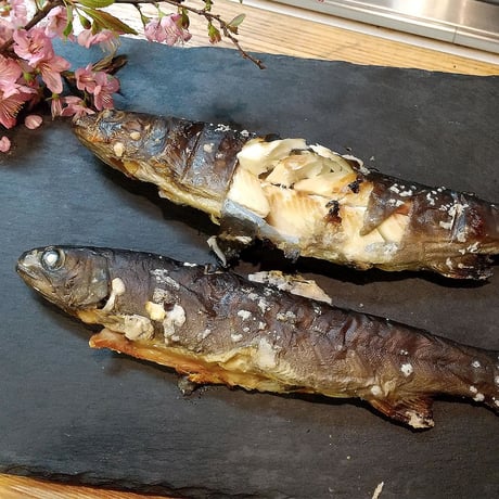 【産地直送】深瀬イワナの塩焼き＆お刺身 食べ比べセット（専用だし醤油付き・冷凍）