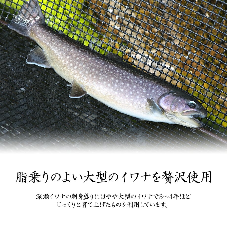 65a1e848c2c7e204e8f2e0d3