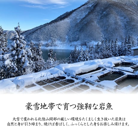 【産地直送】深瀬イワナの塩焼き＆お刺身 食べ比べセット（専用だし醤油付き・冷凍）