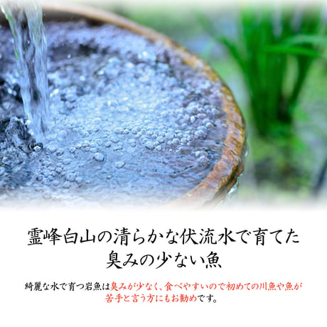 【産地直送】深瀬イワナ 塩焼き用(冷凍・国産)