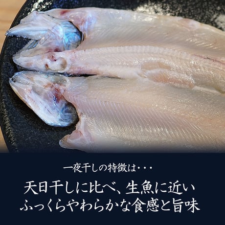 【産地直送】岩魚（イワナ）の一夜干し（冷凍・石川県産）