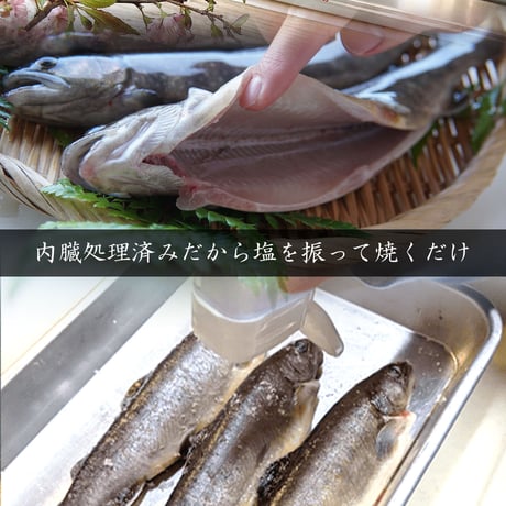 【産地直送】深瀬イワナの塩焼き＆お刺身 食べ比べセット（専用だし醤油付き・冷凍）