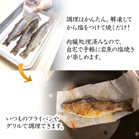 【産地直送】深瀬イワナ 塩焼き用(冷凍・国産)