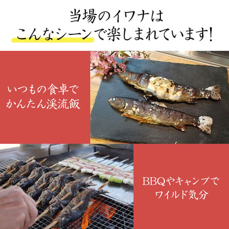 【産地直送】深瀬イワナ 塩焼き用(冷凍・国産)