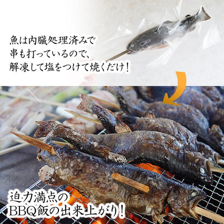 【産地直送】深瀬イワナ 塩焼き用(冷凍・国産)