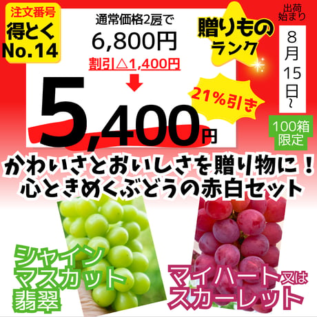 ぶどう園 🍇品種紹介【翠峰（すいほう）】🍇 大粒で存在感のあるぶどう「翠峰