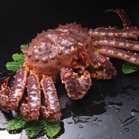【3L】生タラバ蟹足　一肩（半身）お鍋、焼きタラバ用