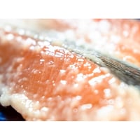 熟成×醗酵　【Dry　Aiging】　桜ます　おのころ雫塩麹漬け（2切入）