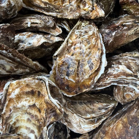 牡蠣のしぐれ煮【サロマ湖産】