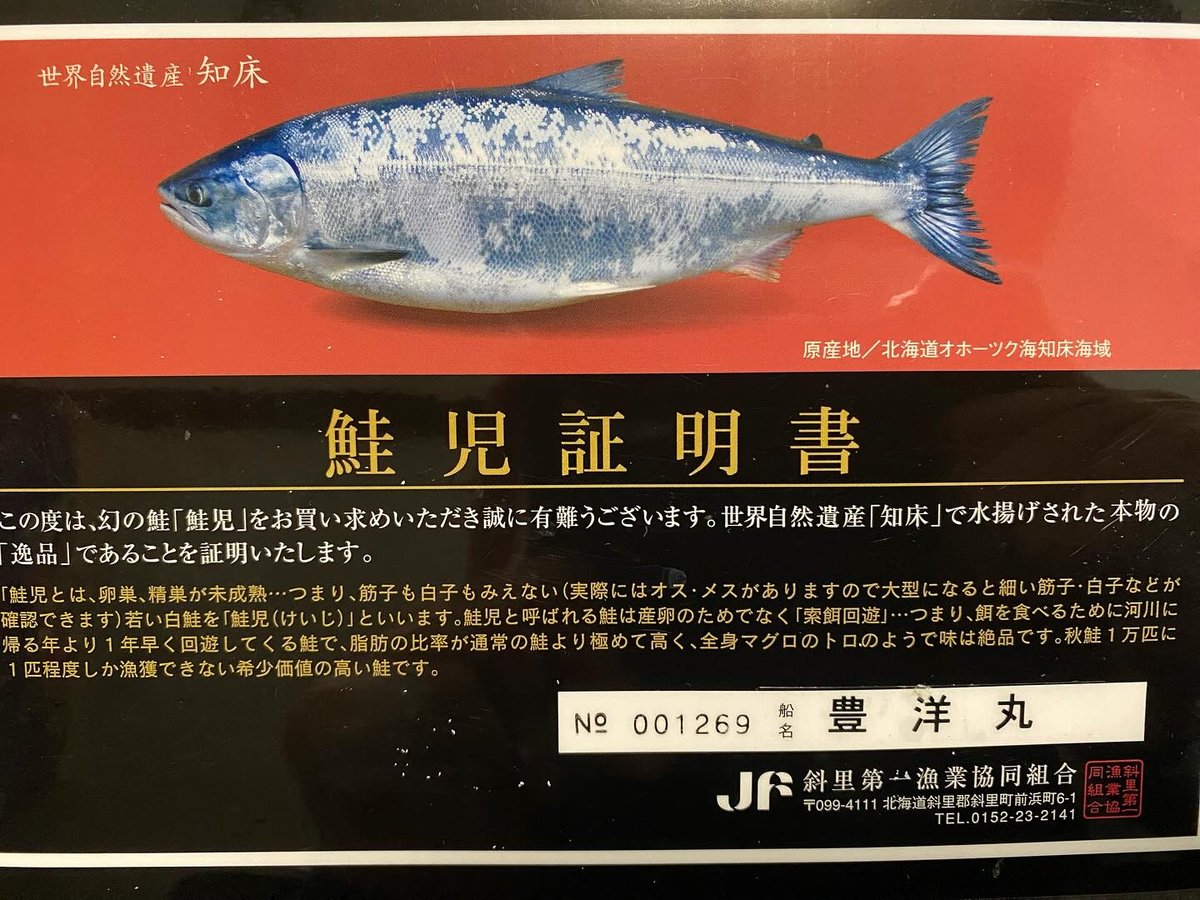 希少　鮭児　ケイジ　幻の魚　ピンバッジ　3個セット 希少鮭児ケイジ幻の魚ピンバッジ3個セット