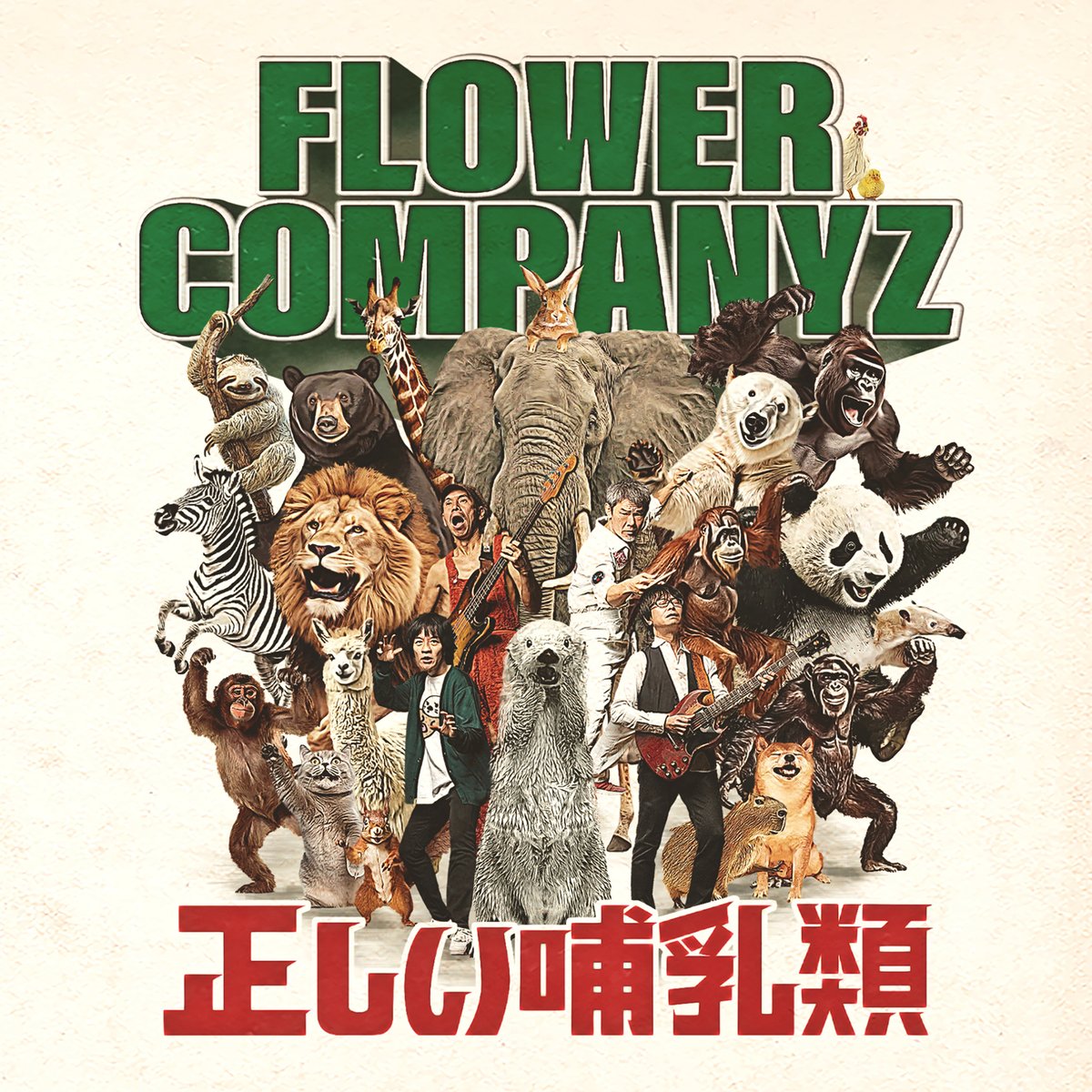 CD：20th album『正しい哺乳類』 | フラワーカンパニーズ web