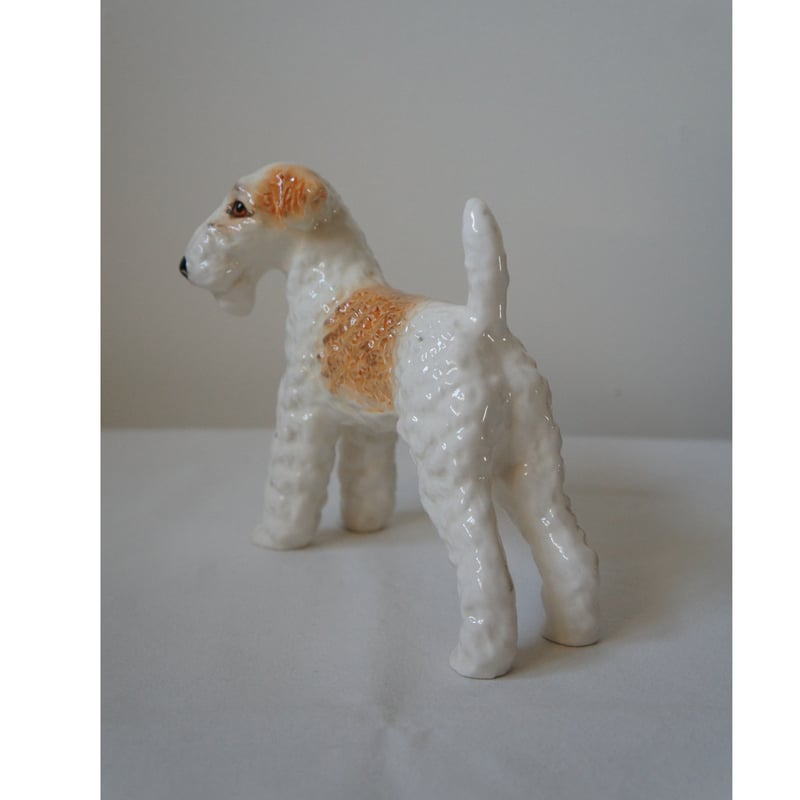 アンティーク フォックステリア　Kunstlerschutz ワグナー　犬 黒のドレスをお借りして、アンティークの椅子に座ってパチリ