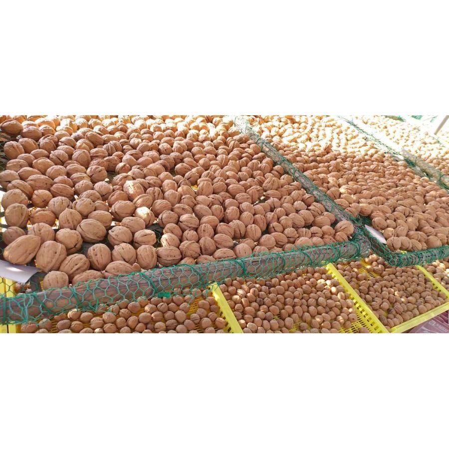 長野県東御市産 ブランド信濃くるみ 殻付き 1kg | からだにいいもの