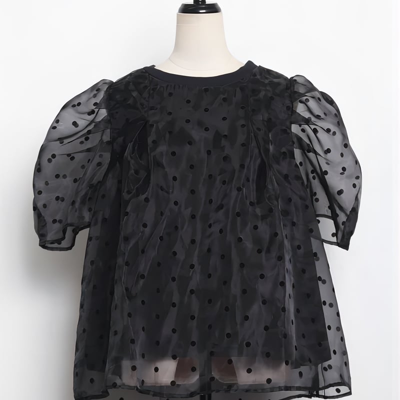 Organdy dot blouse | liber