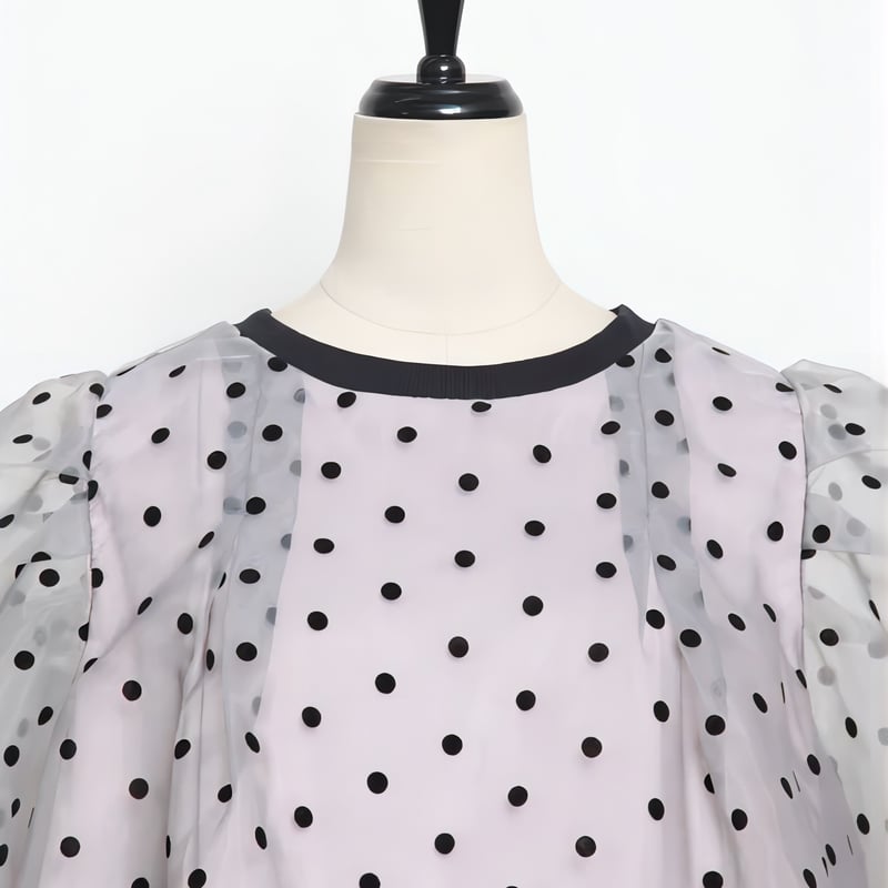 Organdy dot blouse | liber