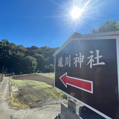 レムリアンシード 13　＊久高島クリスタルリトリート＆瀬織津姫&龍神〜瀧川神社にて特別浄化&チャージ済