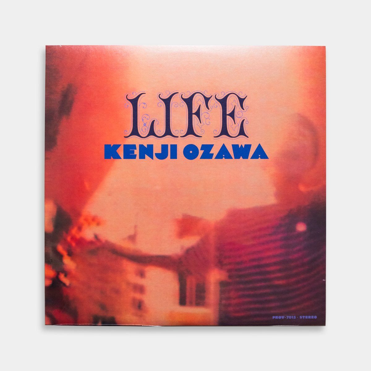 LIFE - 小沢健二 | Staghorn Records 