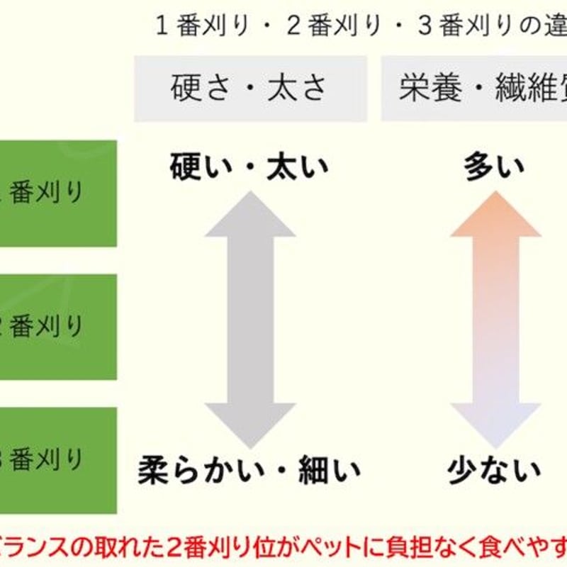 カナダ産　チモシー　20kg