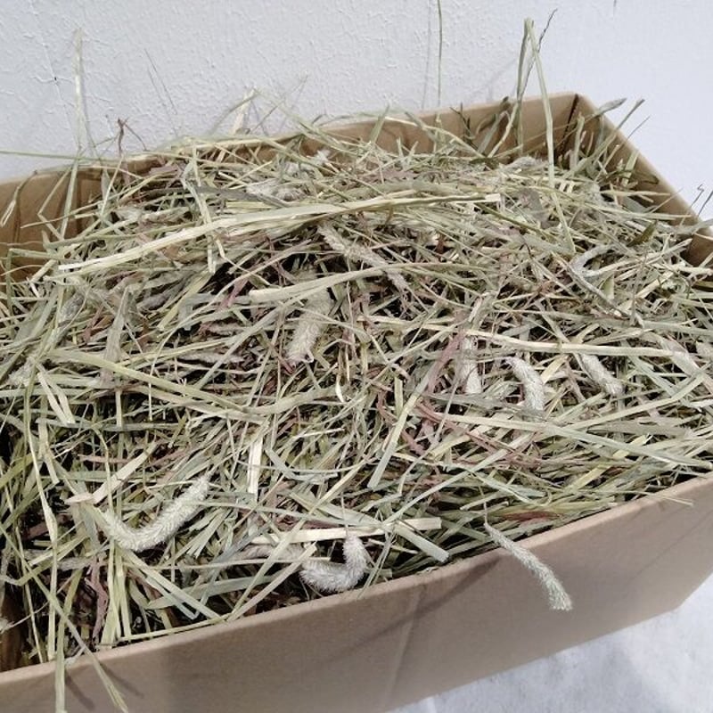 送料着払い発送】カナダ産 チモシー スーパープレミアム1番刈り 10kg