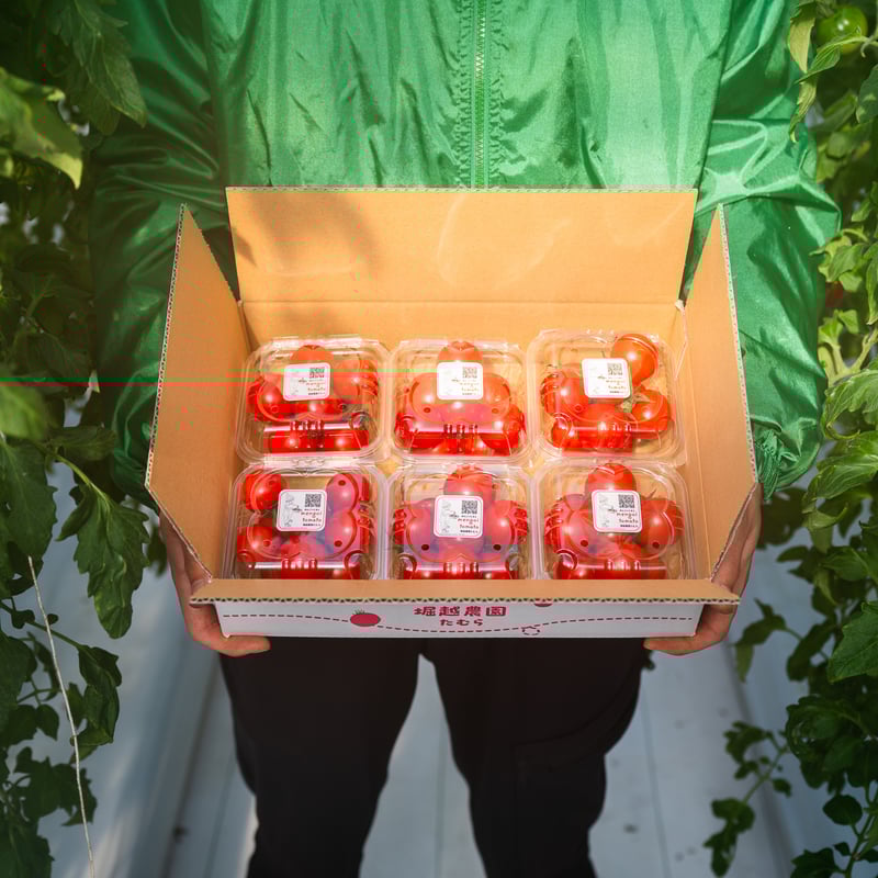 パック]めんごいとまと-TYレッドオーレ900g箱⼊り(150gパック×6個