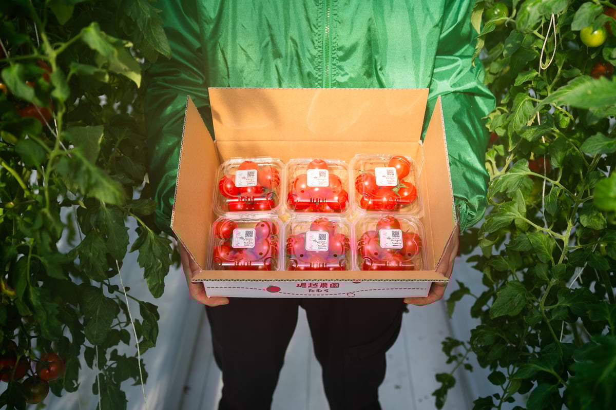 パック]めんごいとまと-TYレッドオーレ900g箱⼊り(150gパック×6個