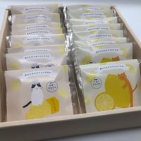【猫モチーフのクッキーギフトセット - 手作り・塩竈市産 | ねこかまど】ねことバタークッキーとレモンクッキーのセット　16枚入り