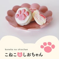 【猫モチーフのかわいいお菓子でプレゼントに最適！】こねこのしおちゃん3箱（10個入り×3　チョコ・カスタード・イチゴミルク・クリームチーズ・ずんだ　１箱に各2個ずつ）