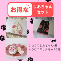 【お得な送料無料セット】大人気こねこのしおちゃんセット（こねこのしおちゃん４箱、くろねこのしおちゃん３箱）