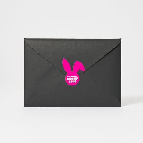 レッドドラゴン バニークラブ ブロマイド トランプ型　Red Dragon BUNNY CLUB Photo Cards（playing card type）
