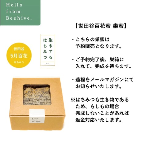 【2026年度予約販売終了】世田谷百花蜜 巣蜜 約300g