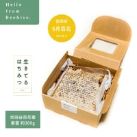 【2026年度予約販売終了】世田谷百花蜜 巣蜜 約300g