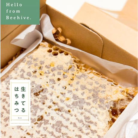 【2026年度予約販売終了】世田谷百花蜜 巣蜜 約300g